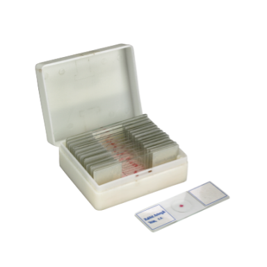 Arterija ir vena mikropreparatų rinkinys, 25 vnt. Arterija ir vena mikropreparatų rinkinys, 25 vnt.