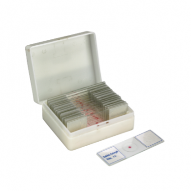 Arterija ir vena mikropreparatų rinkinys, 25 vnt. Arterija ir vena mikropreparatų rinkinys, 25 vnt.