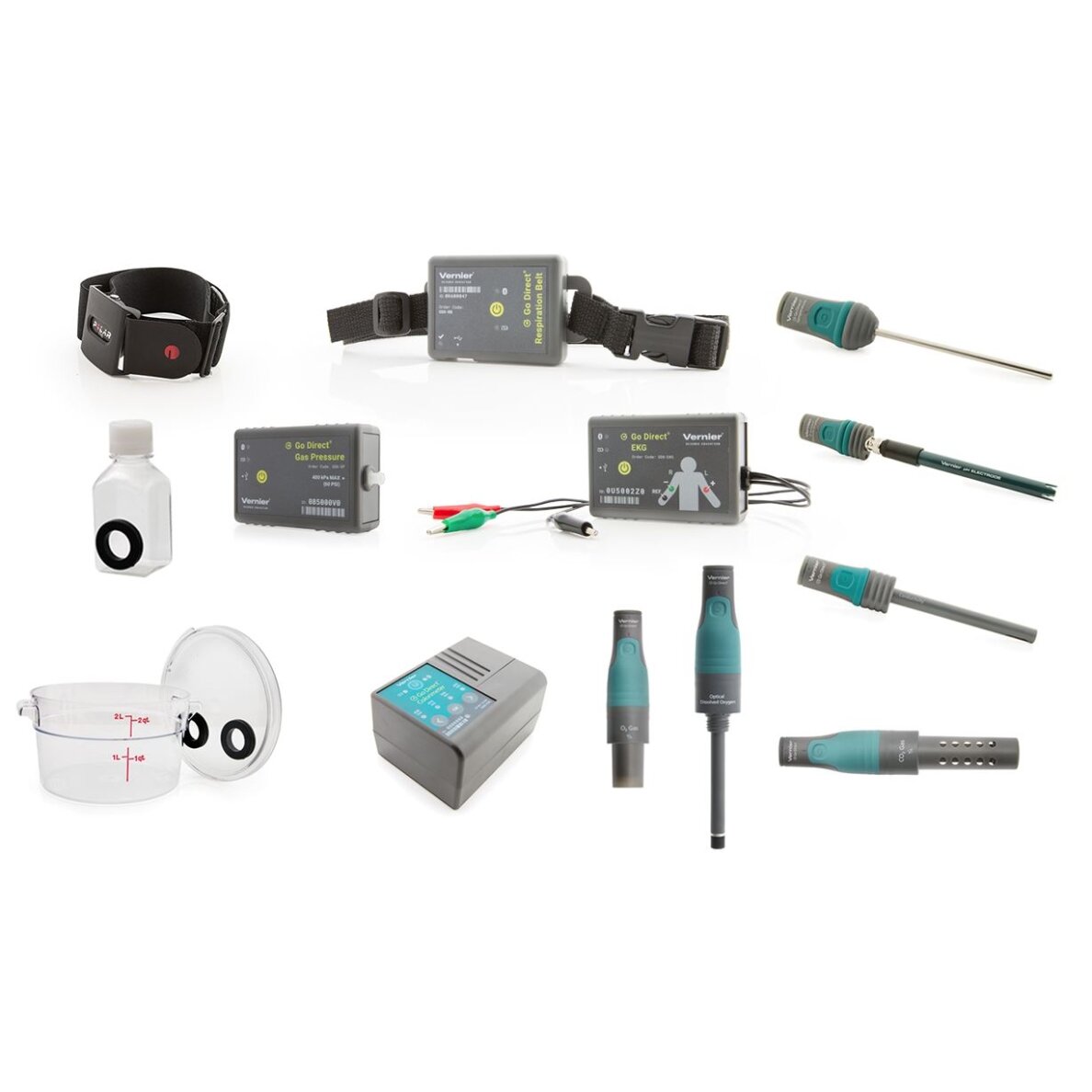 Biologijos standartinis rinkinys Go Direct® Biologijos standartinis rinkinys Go Direct®