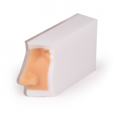 COVID mėginio paėmimo iš nosiaryklės simuliatorius (vienpusis) 2