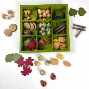 Gamtos objektų grupavimo dėžutė