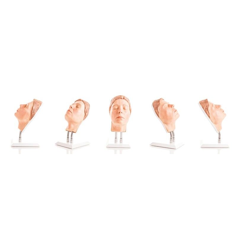 Galvos modelis veido injekcijoms 2 Galvos modelis veido injekcijoms 2