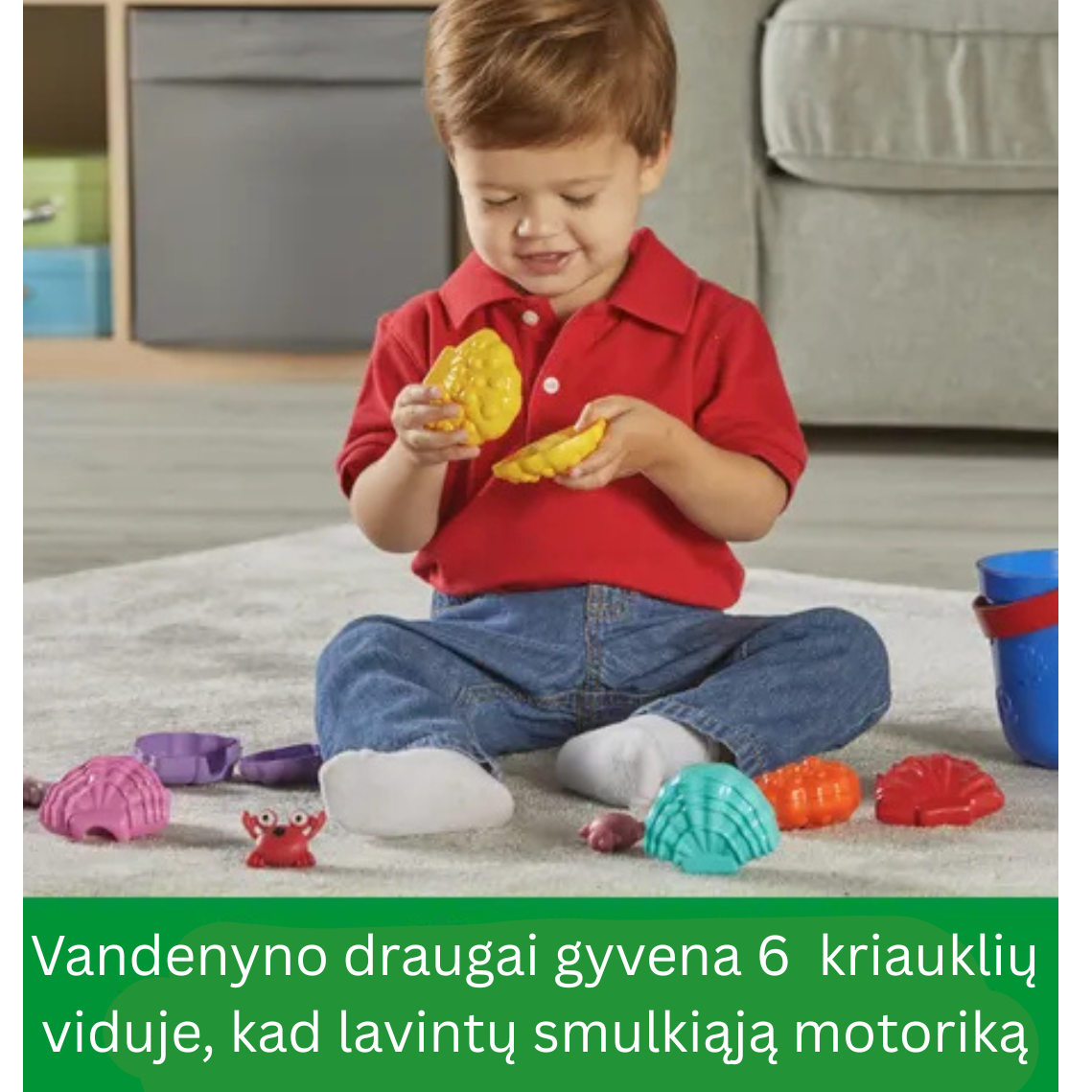 Kriauklės ,,Vandenyno emocijos'' 2 Kriauklės ,,Vandenyno emocijos'' 2