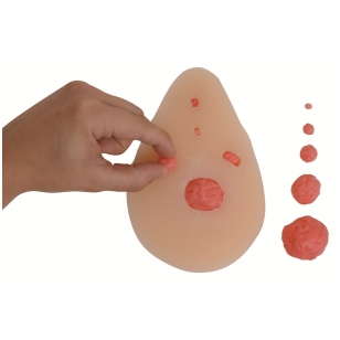 Krūties modelis su keičiamais mazgeliais (kūno spalvos)