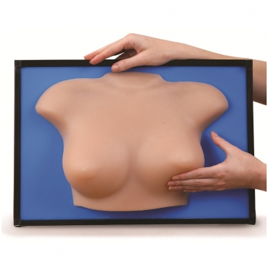 Krūtų poros modelis (kūno spalvos)