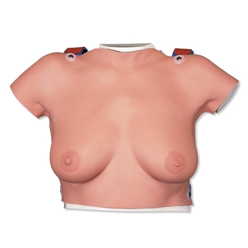 Krūtų savitikros modelis