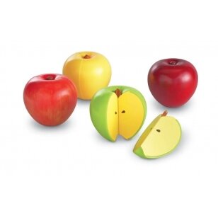Magnetinių obuolių rinkinys trupmenoms