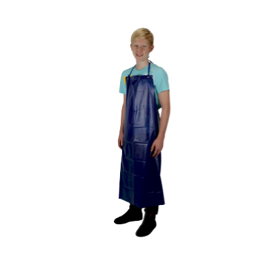 Prijuostė