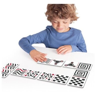 Regėjimo ir lytėjimo domino Regėjimo ir lytėjimo domino