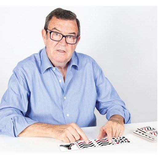 Regėjimo ir lytėjimo  domino 2
