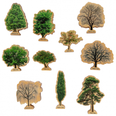 Rinkinys „Metų laikų medžiai“ 3