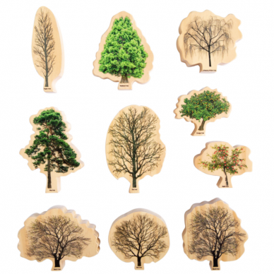 Rinkinys „Metų laikų medžiai“ 4