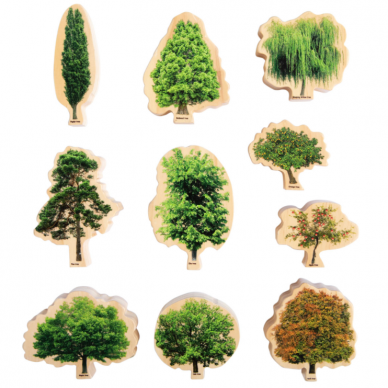 Rinkinys „Metų laikų medžiai“ 2