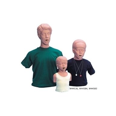 Vaiko atspringdinimo manekenas torso modelis