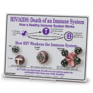 Stendas "ŽIV / AIDS: Pavojus imuninei sistemai"