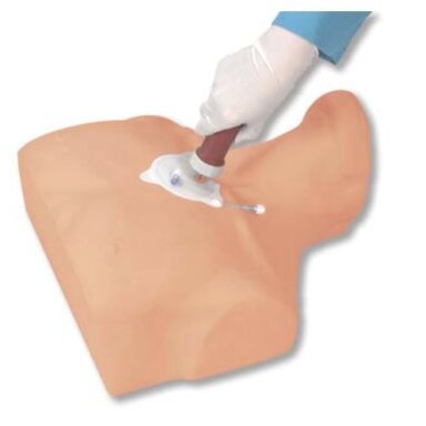 Suaugusiųjų intraosalinės infuzijos simuliatorius Suaugusiųjų intraosalinės infuzijos simuliatorius