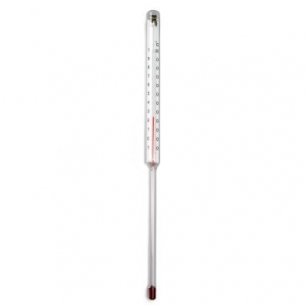 Termometras  -10 - 100 ° C (strypelio  ilgis 150 mm)